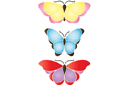 Schablonen für Schmetterlinge zeichnen - Große Schmetterlinge